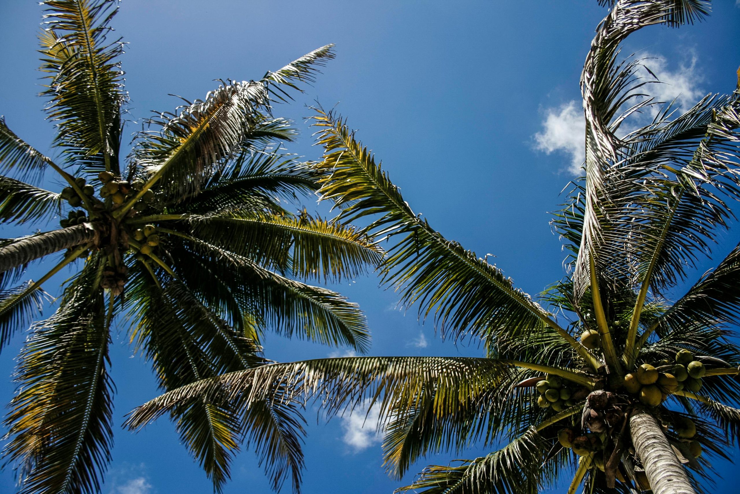 越南于2026年起在四个地区提高最低工资标准